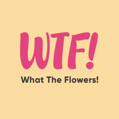 What The Flowers