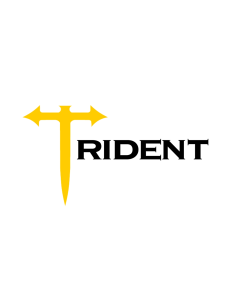 Trident Group