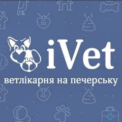 IVet, Ветеринарна клініка